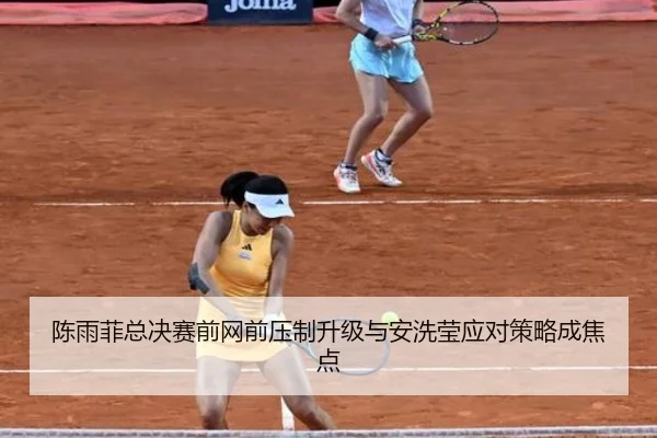 陈雨菲总决赛前网前压制升级与安洗莹应对策略成焦点 - MKSPORTS